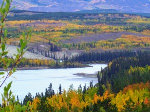 Ross River YT